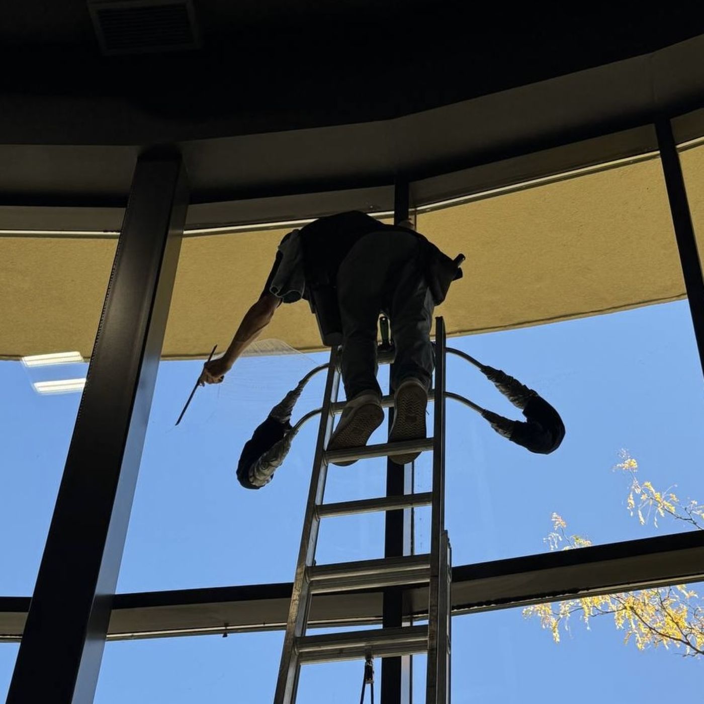 Professional window cleaner washing exterior windows on a residential home in Toronto, GTA